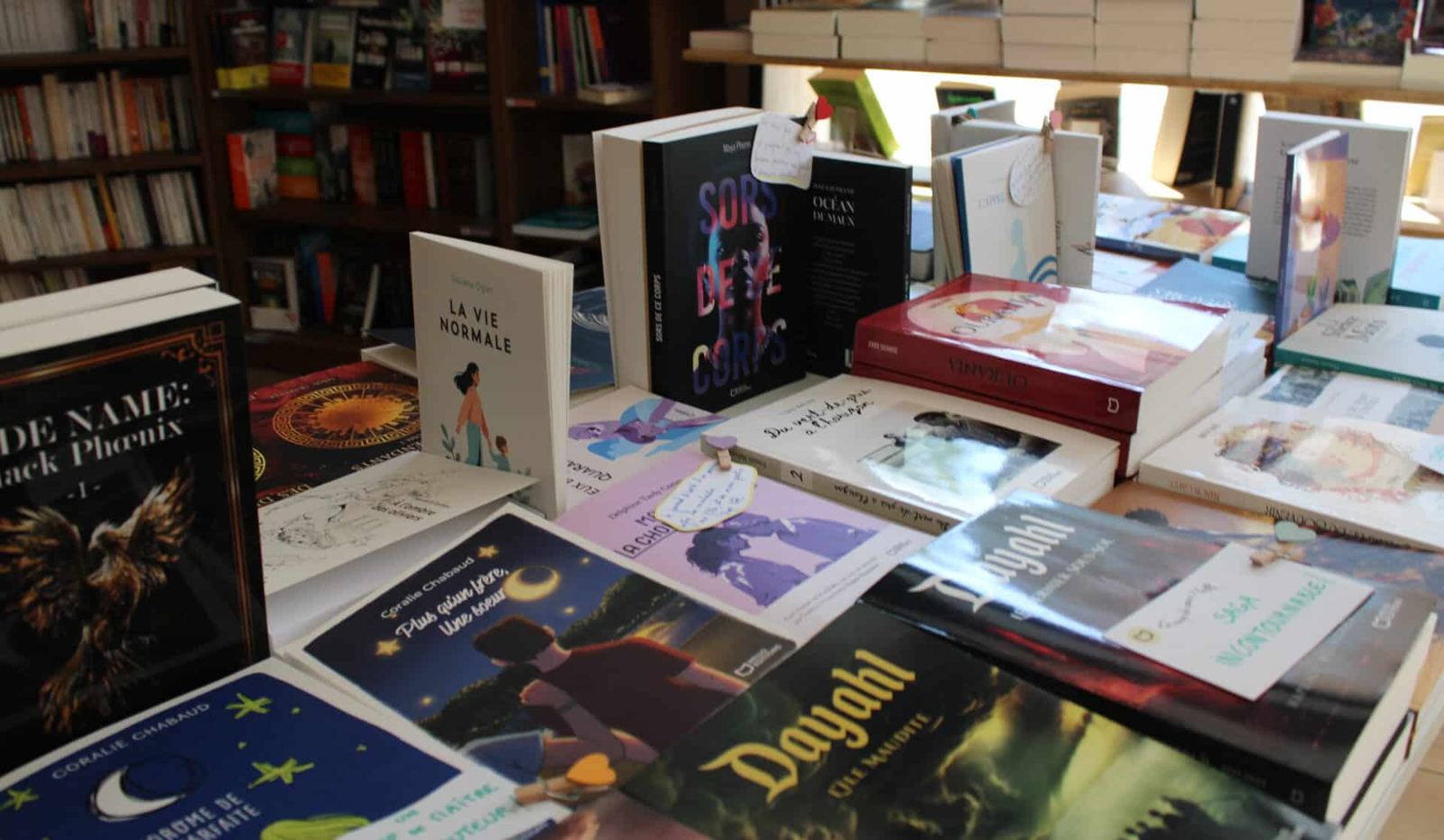 Nos livres sur la table d’une librairie