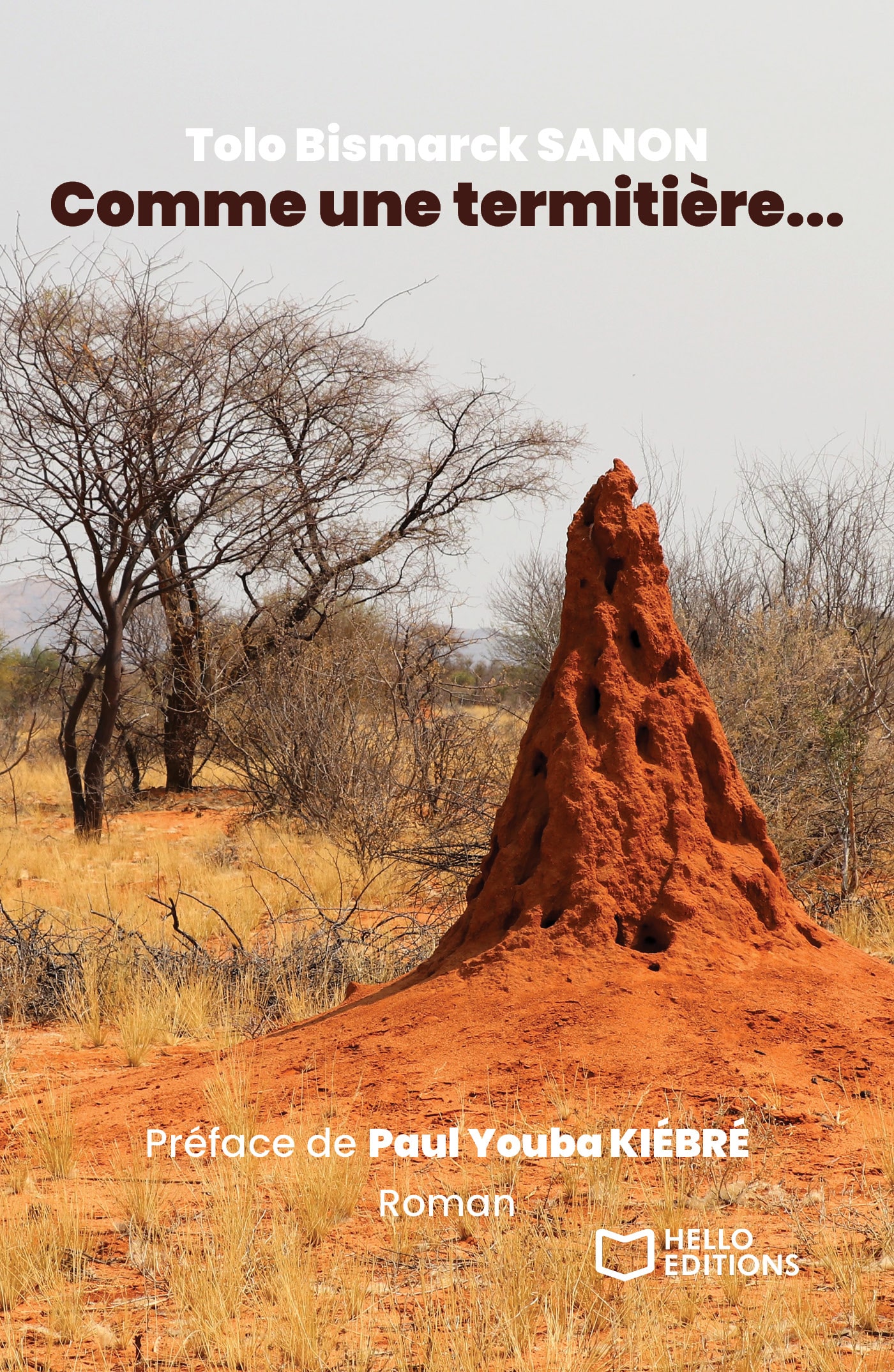 Comme une termitière