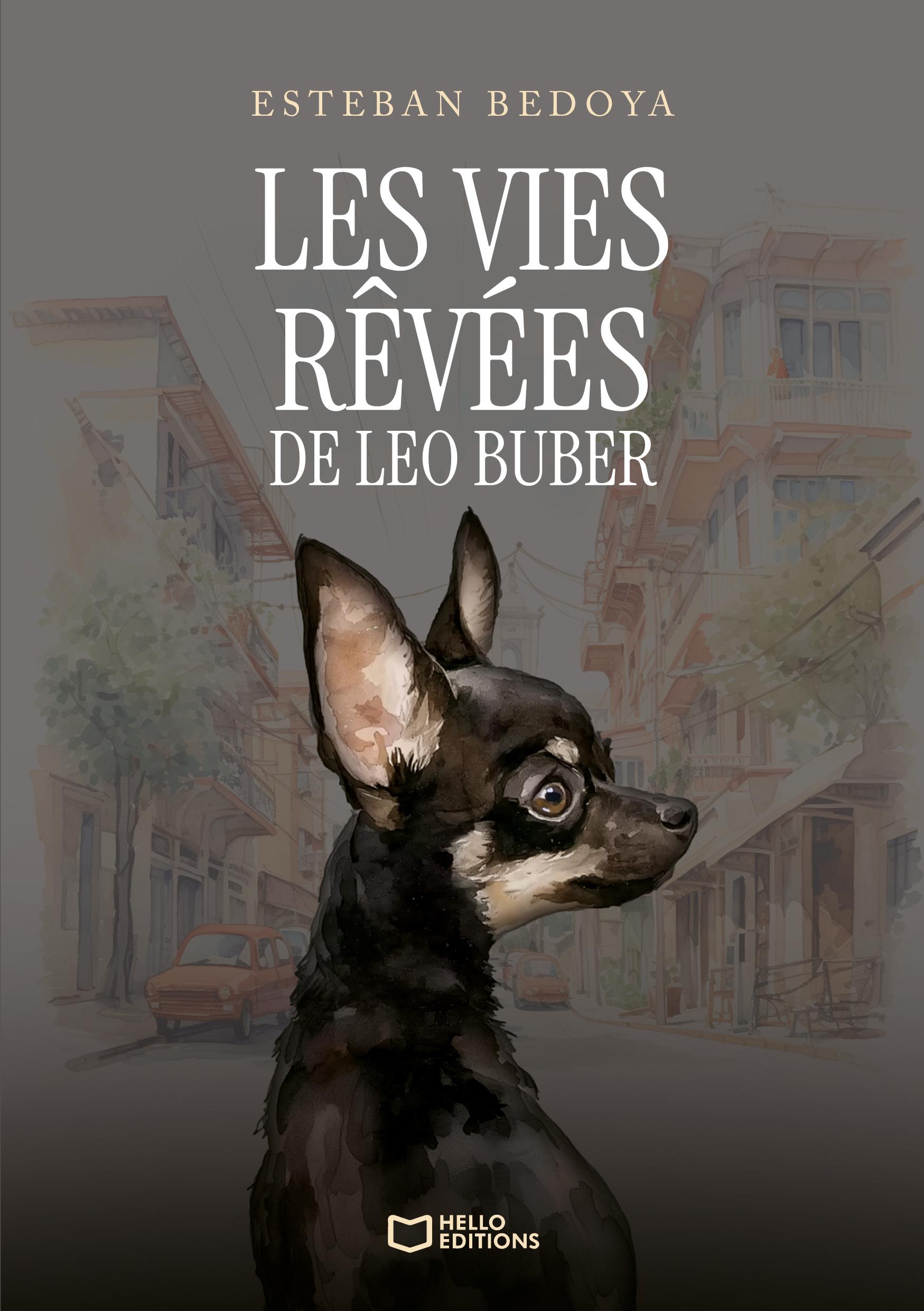 Les vies rêvées de Leo Buber